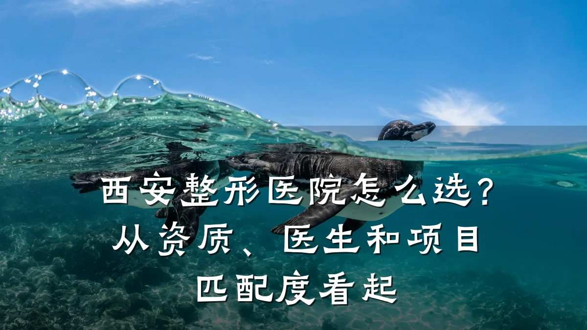 西安整形医院怎么选？从资质、医生和项目匹配度看起