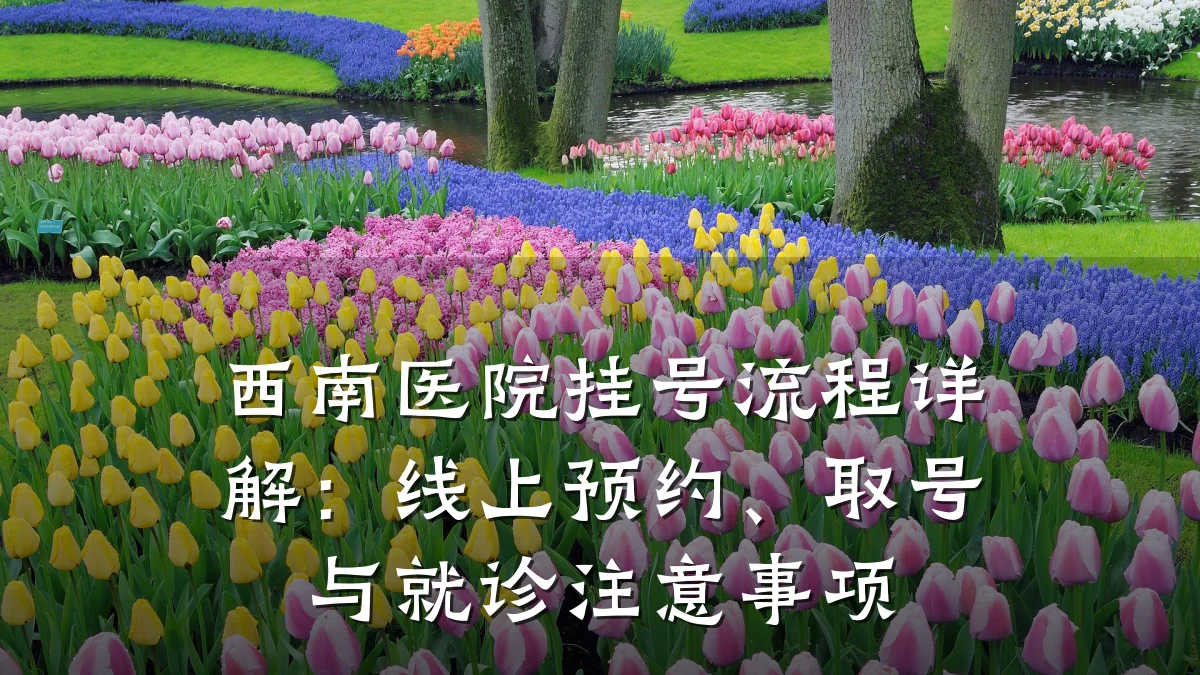 西南医院挂号流程详解:线上预约、取号与就诊注意事项