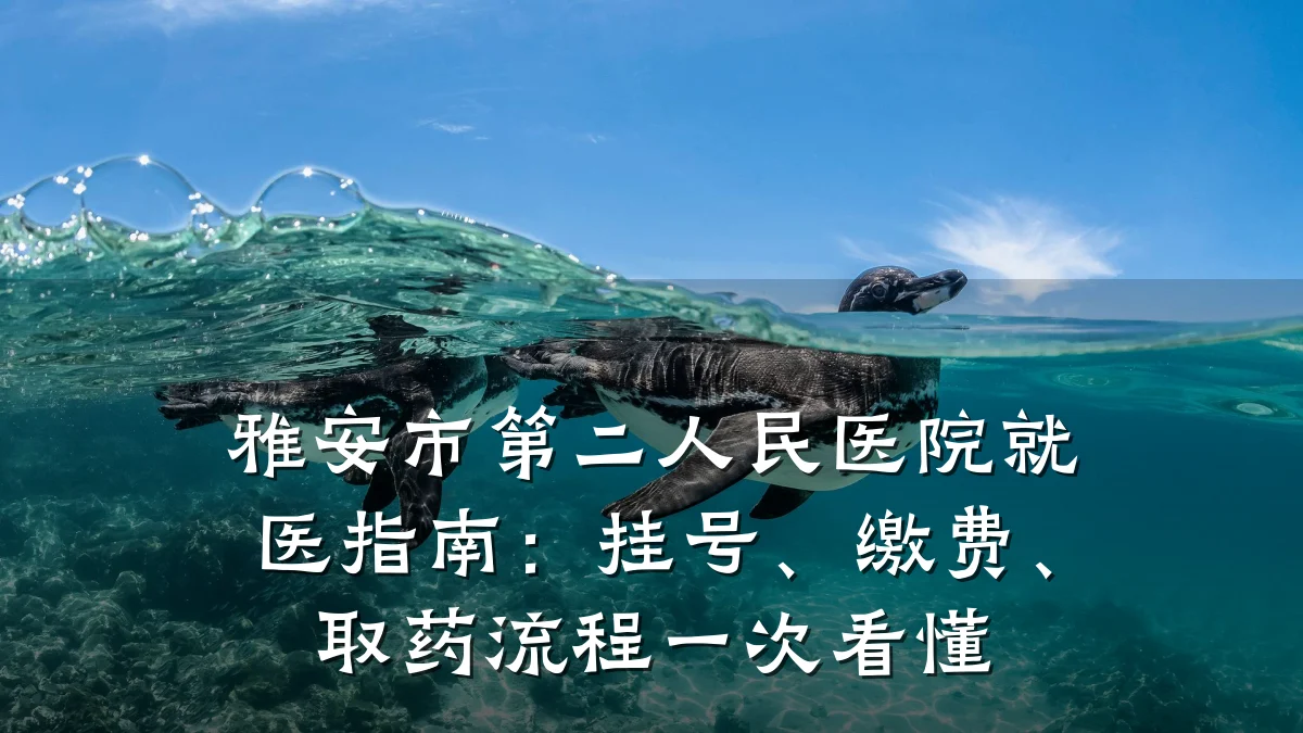 雅安市第二人民医院就医指南:挂号、缴费、取药流程一次看懂