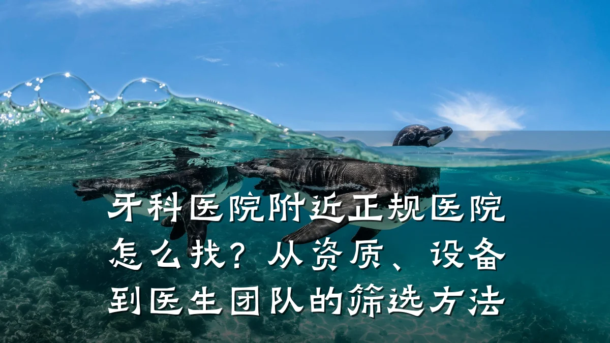 牙科医院附近正规医院怎么找？从资质、设备到医生团队的筛选方法