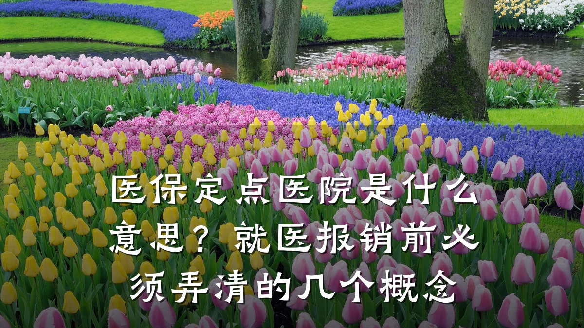 医保定点医院是什么意思？就医报销前必须弄清的几个概念