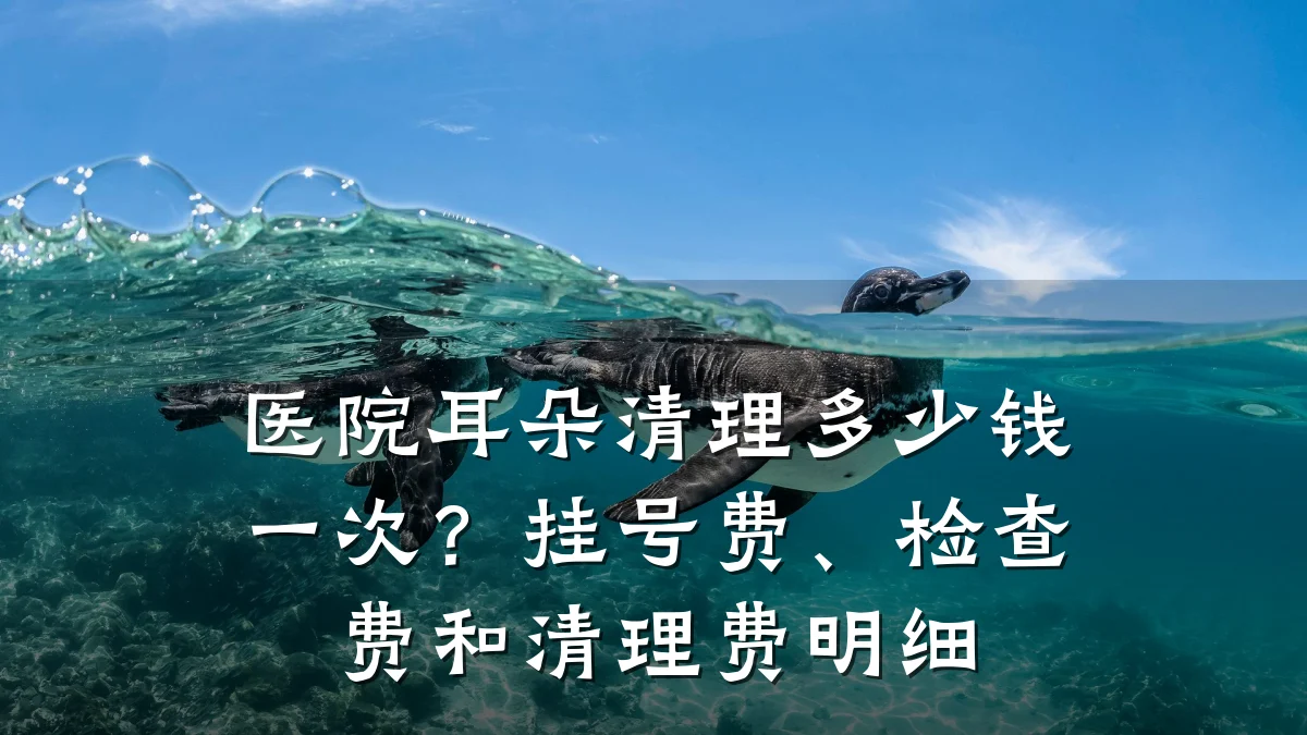 医院耳朵清理多少钱一次?挂号费、检查费和清理费明细