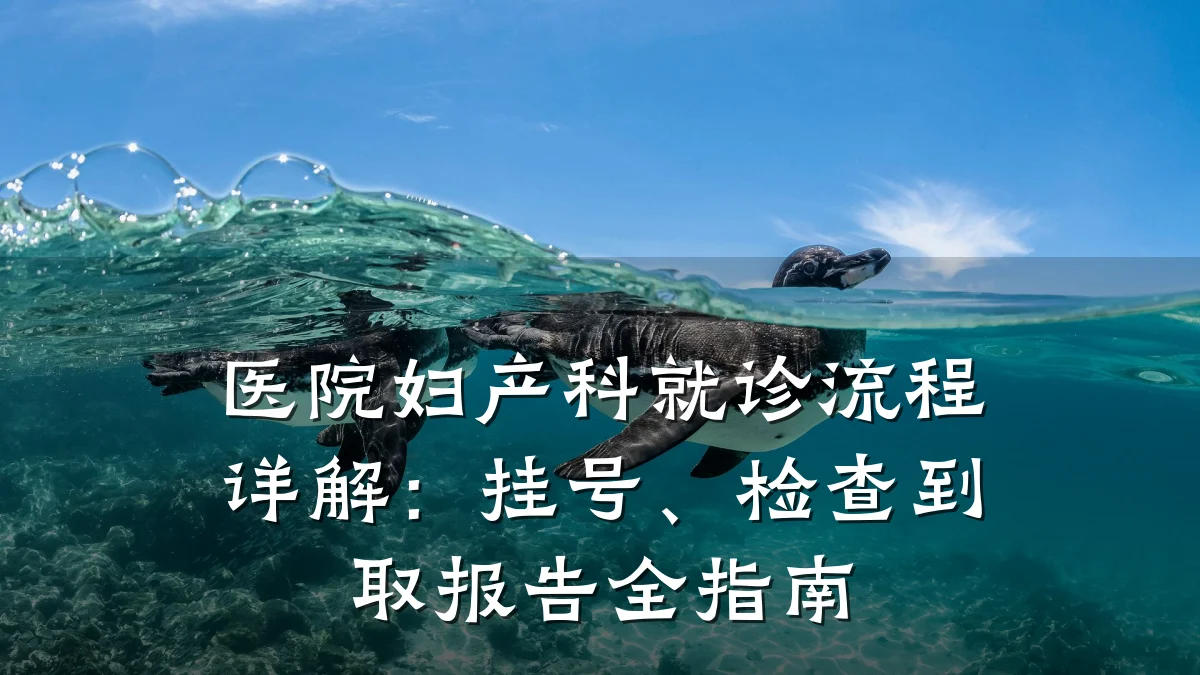 医院妇产科就诊流程详解：挂号、检查到取报告全指南