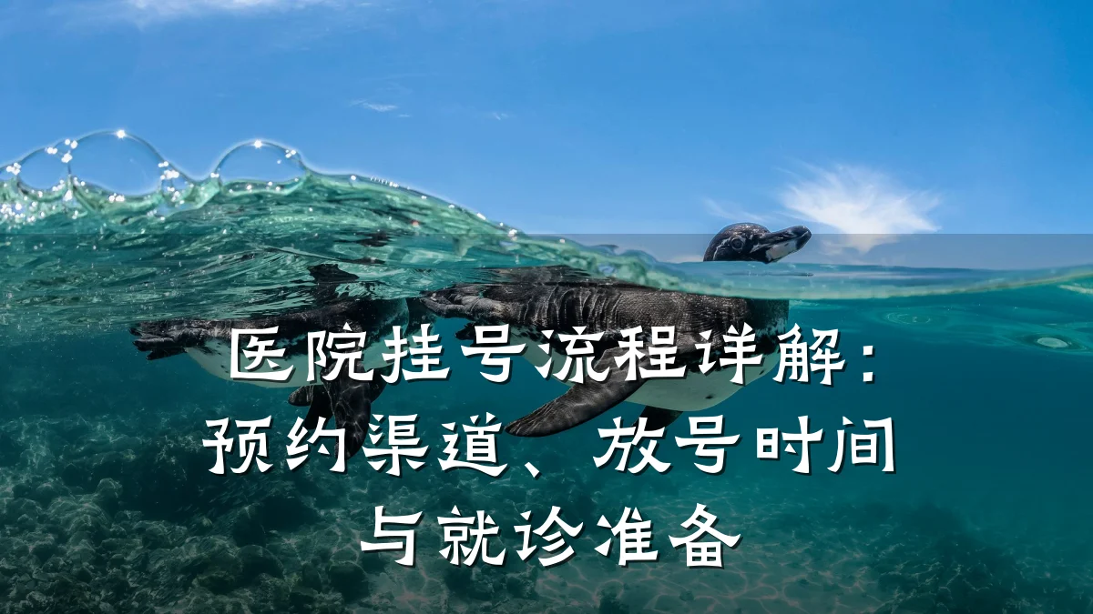 医院挂号流程详解：预约渠道、放号时间与就诊准备