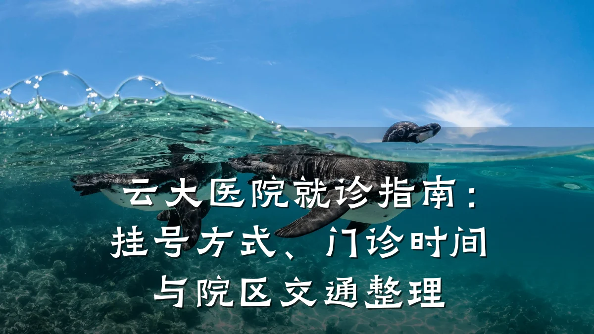 云大医院就诊指南：挂号方式、门诊时间与院区交通整理