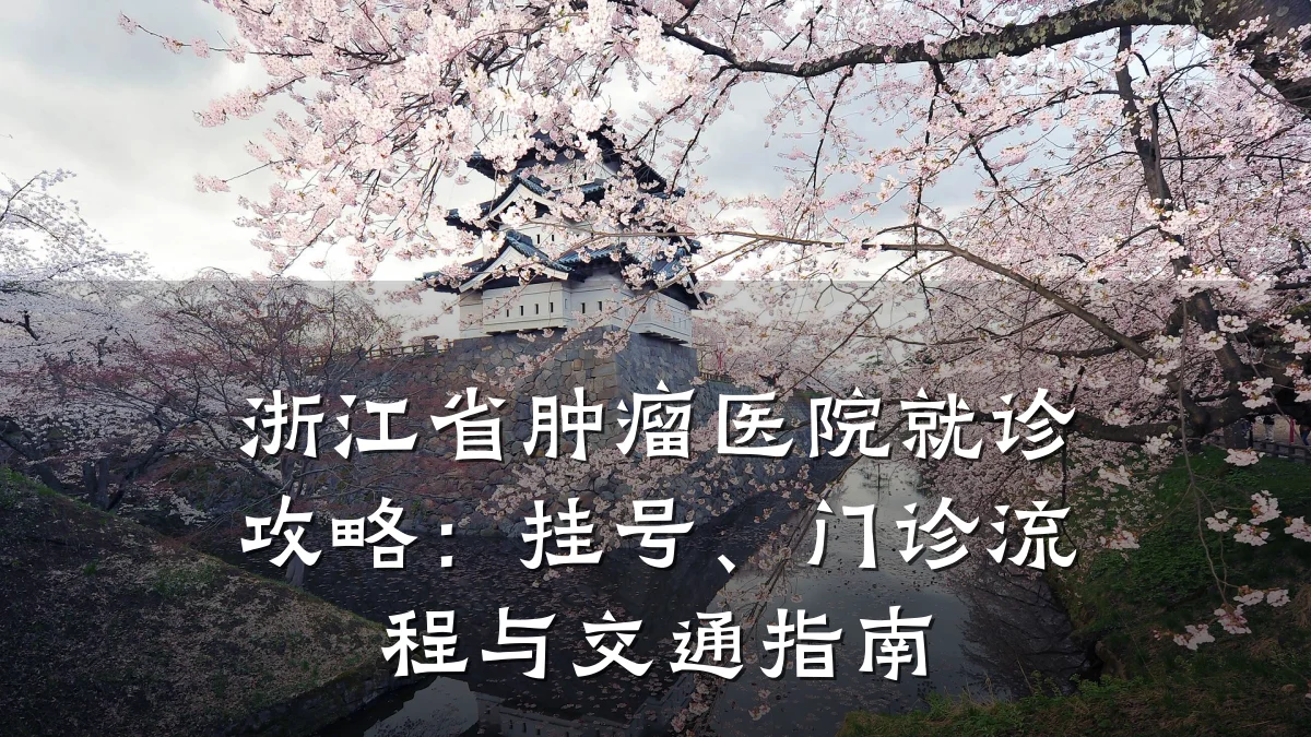 浙江省肿瘤医院就诊攻略:挂号、门诊流程与交通指南