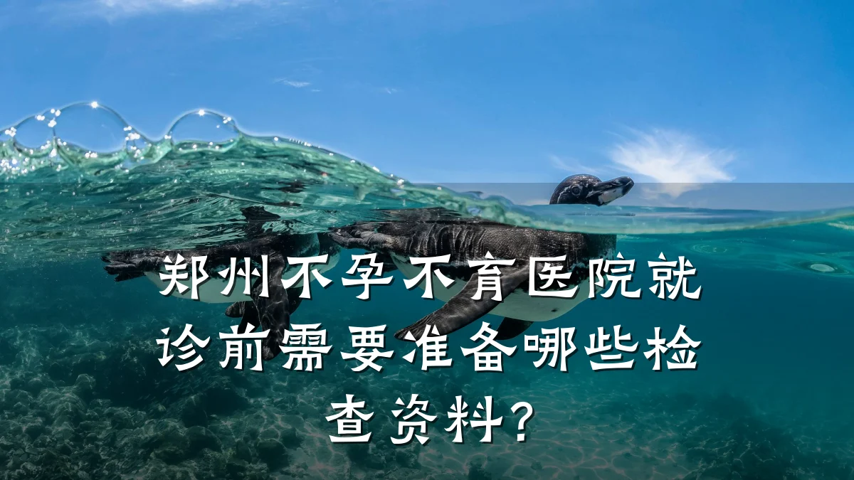 郑州不孕不育医院就诊前需要准备哪些检查资料?