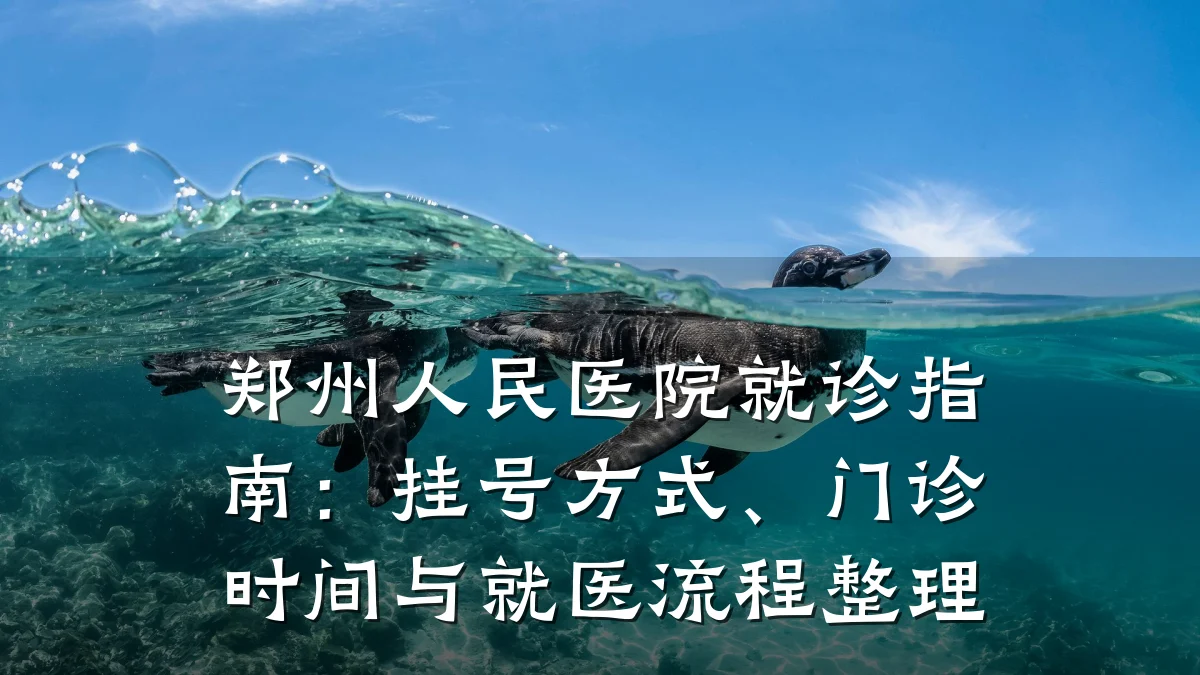 郑州人民医院就诊指南:挂号方式、门诊时间与就医流程整理