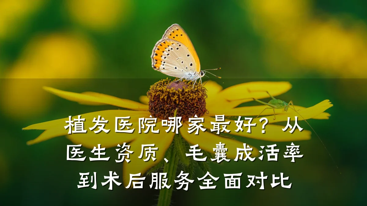 植发医院哪家最好?从医生资质、毛囊成活率到术后服务全面对比