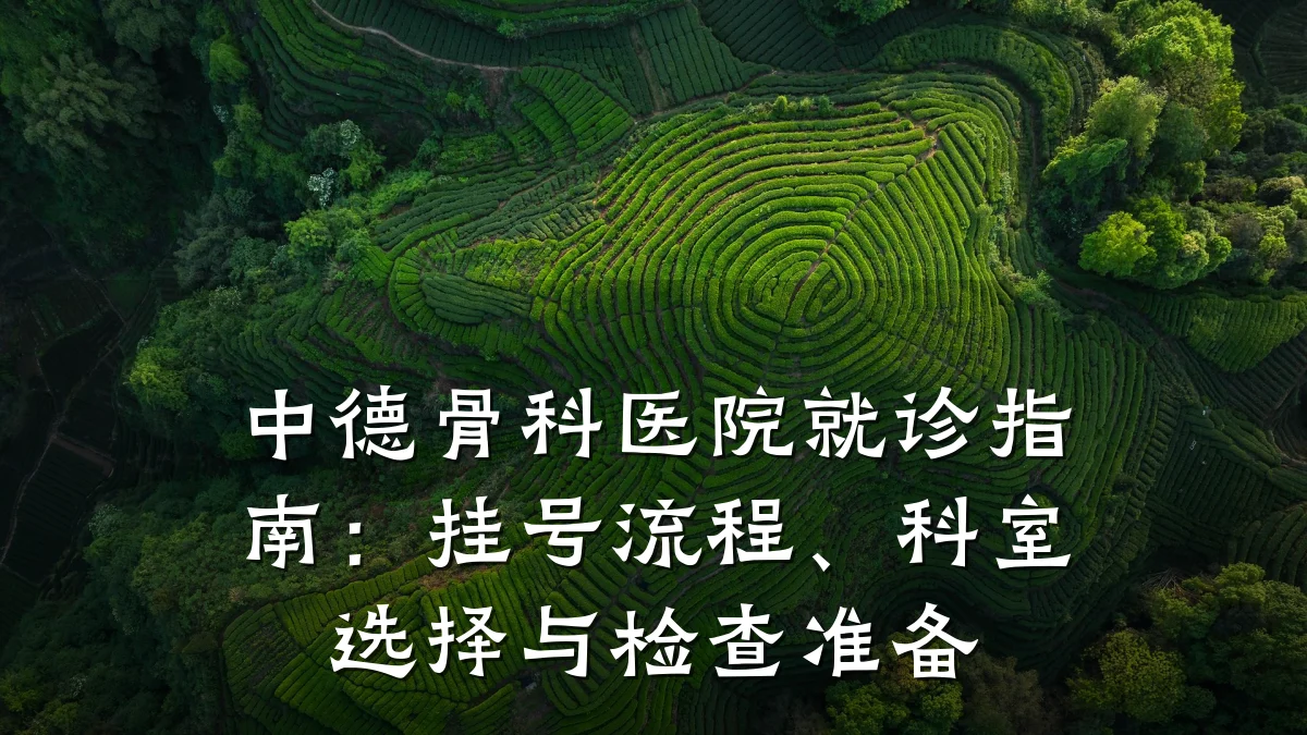 中德骨科医院就诊指南:挂号流程、科室选择与检查准备