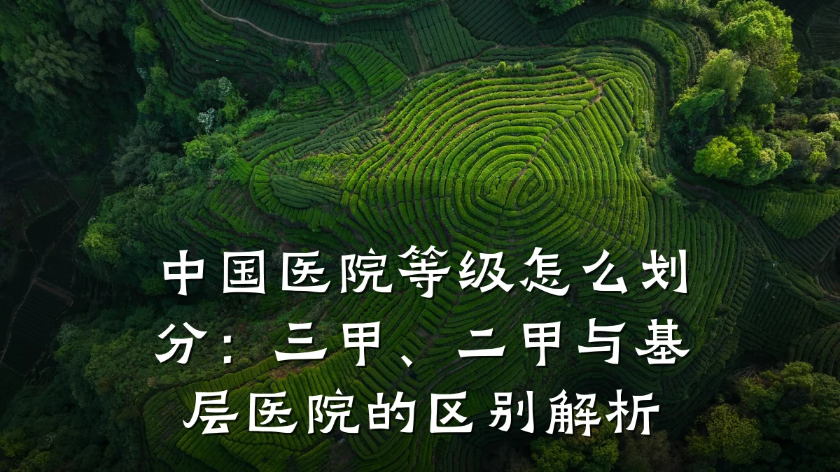 中国医院等级怎么划分：三甲、二甲与基层医院的区别解析