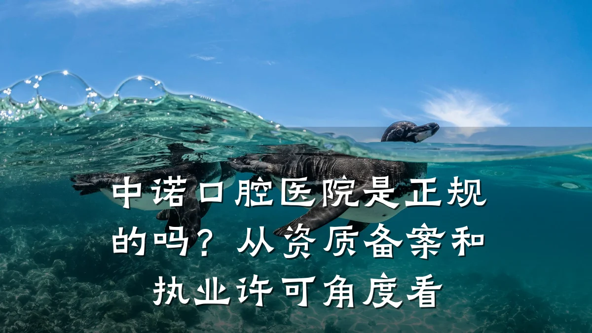 中诺口腔医院是正规的吗?从资质备案和执业许可角度看