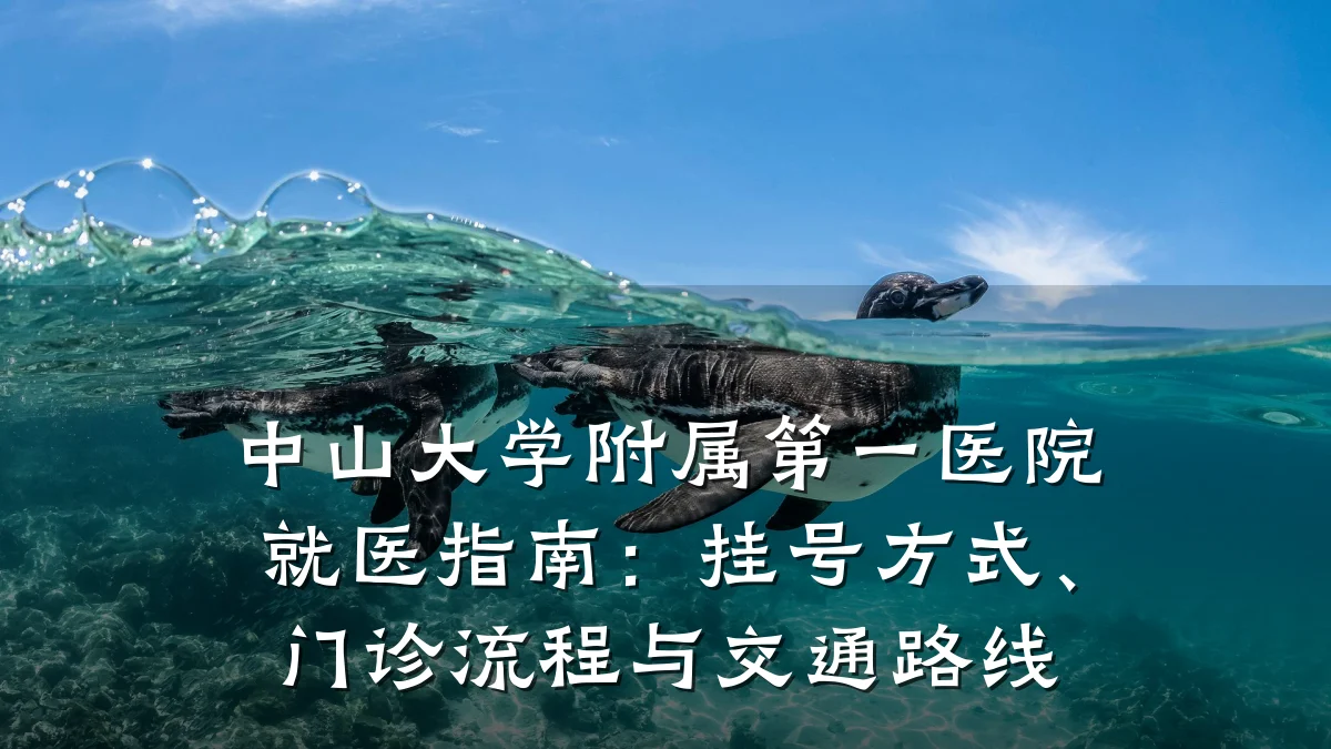 中山大学附属第一医院就医指南：挂号方式、门诊流程与交通路线