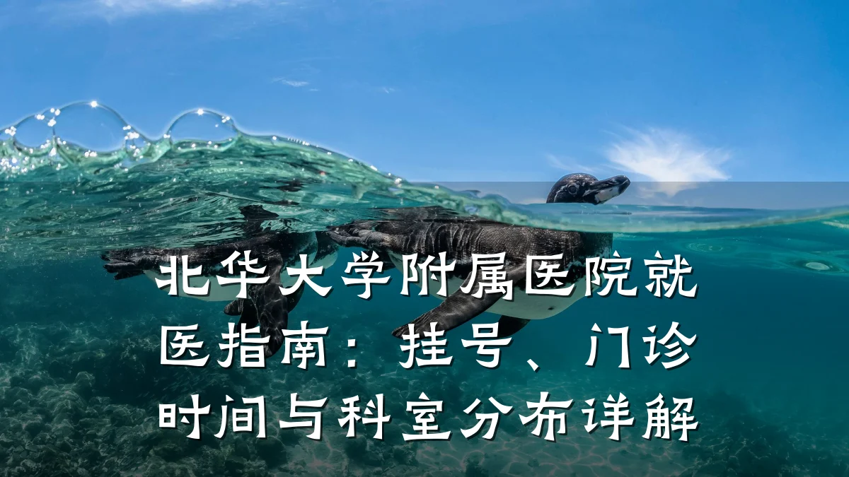 北华大学附属医院就医指南：挂号、门诊时间与科室分布详解