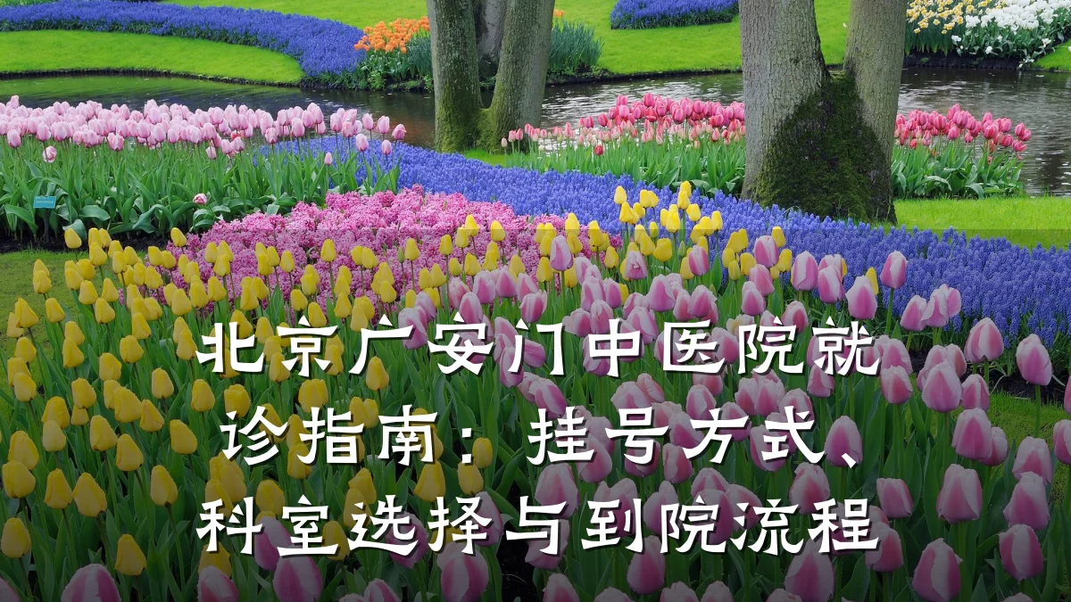 北京广安门中医院就诊指南：挂号方式、科室选择与到院流程