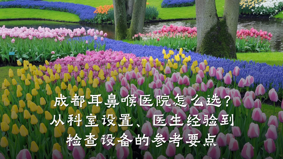 成都耳鼻喉医院怎么选？从科室设置、医生经验到检查设备的参考要点
