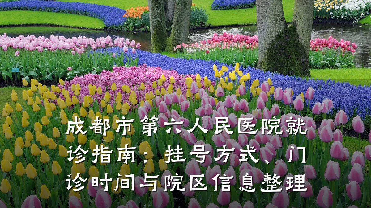 成都市第六人民医院就诊指南：挂号方式、门诊时间与院区信息整理
