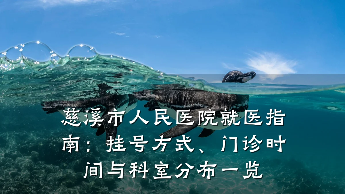 慈溪市人民医院就医指南:挂号方式、门诊时间与科室分布一览