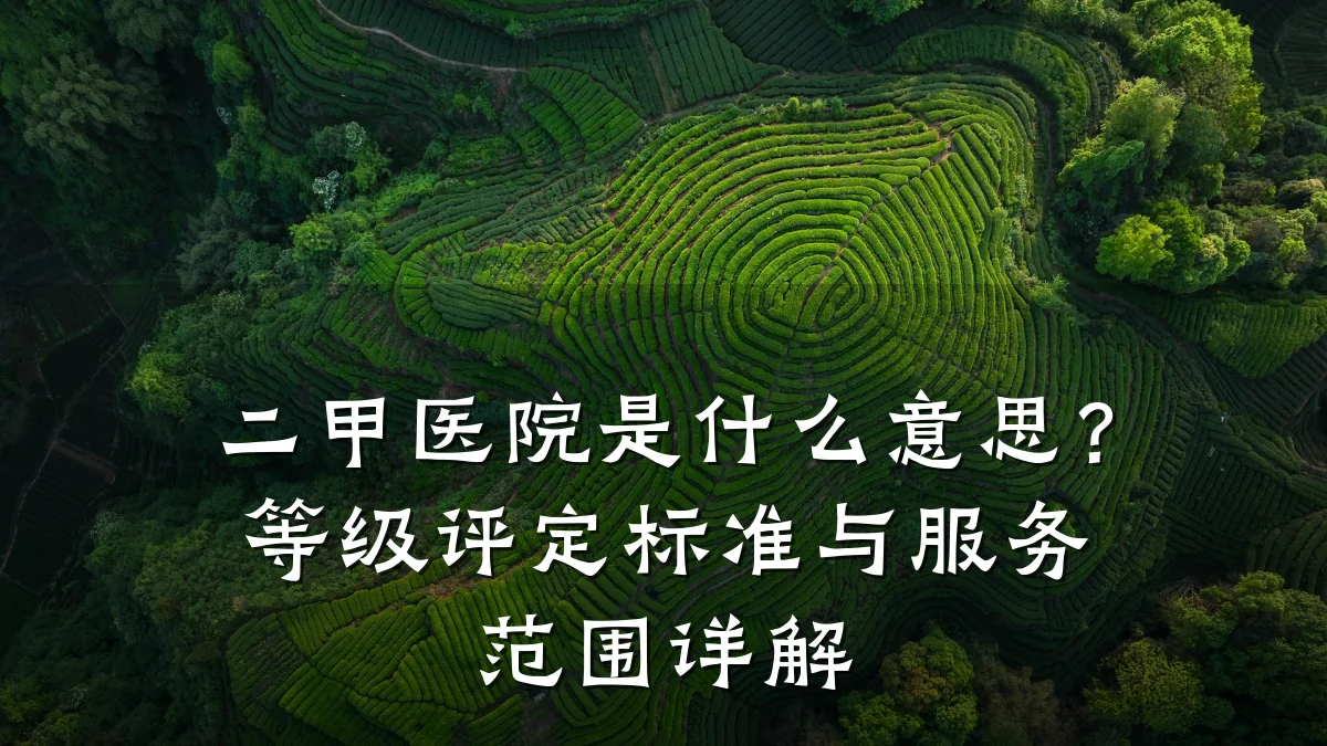 二甲医院是什么意思？等级评定标准与服务范围详解