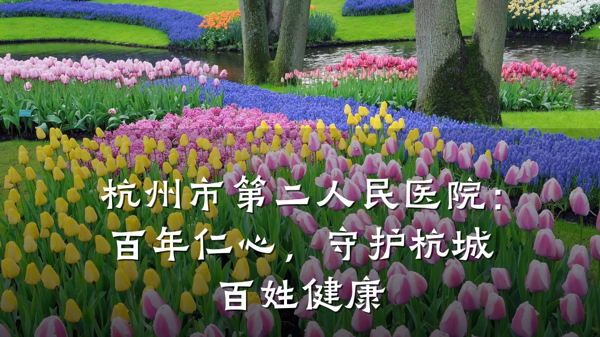 杭州市第二人民医院：百年仁心，守护杭城百姓健康