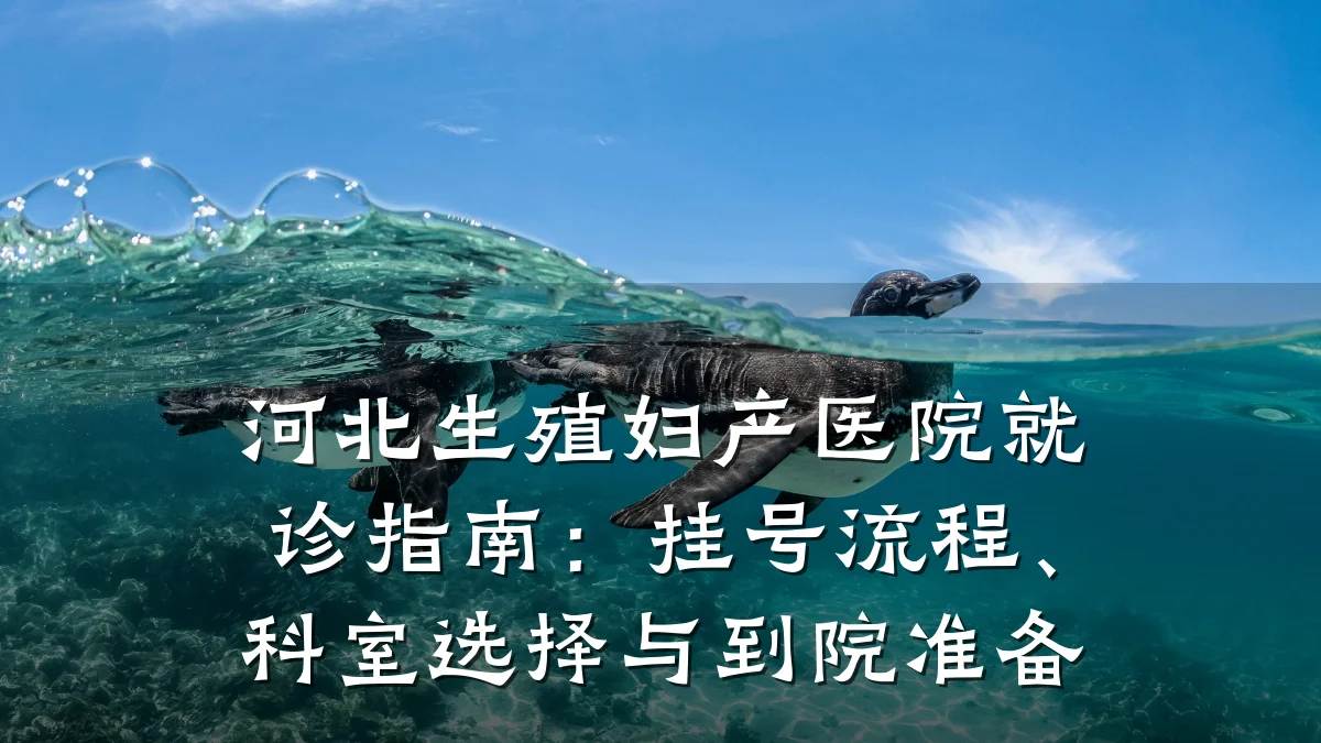 河北生殖妇产医院就诊指南:挂号流程、科室选择与到院准备