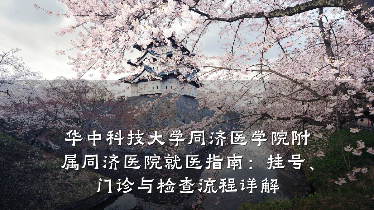 华中科技大学同济医学院附属同济医院就医指南:挂号、门诊与检查流程详解