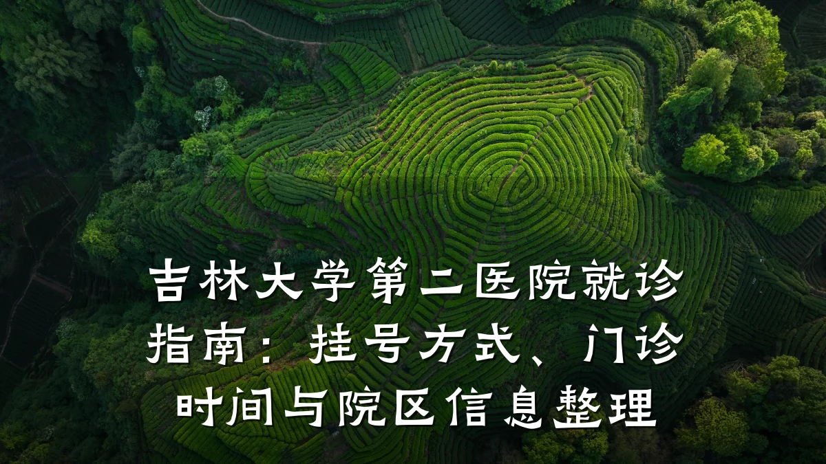 吉林大学第二医院就诊指南：挂号方式、门诊时间与院区信息整理