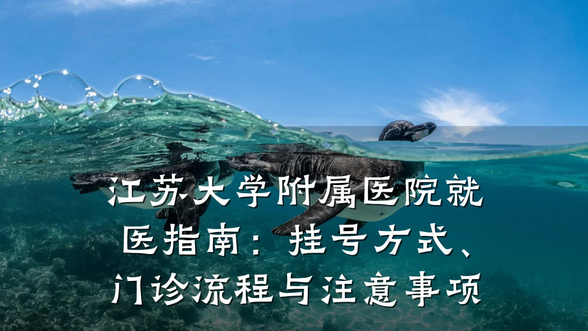 江苏大学附属医院就医指南：挂号方式、门诊流程与注意事项