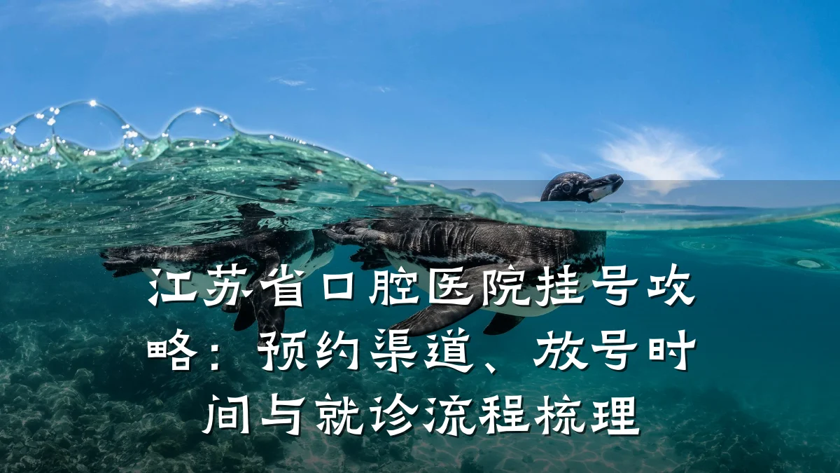 江苏省口腔医院挂号攻略：预约渠道、放号时间与就诊流程梳理