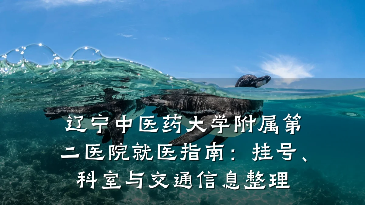 辽宁中医药大学附属第二医院就医指南：挂号、科室与交通信息整理
