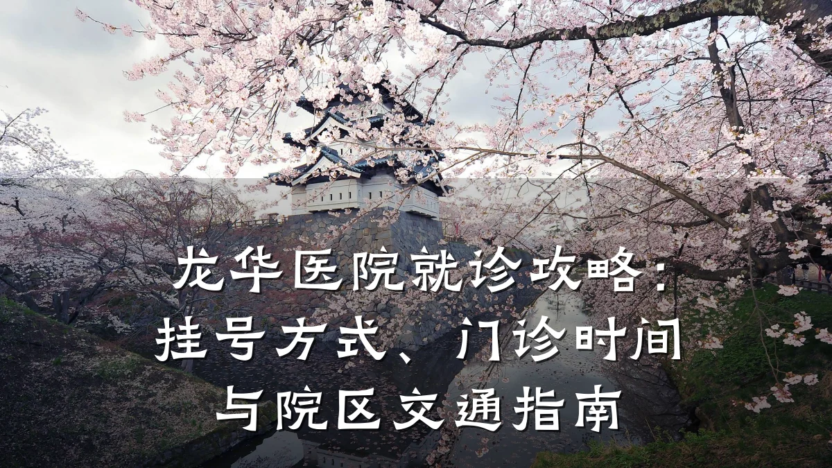 龙华医院就诊攻略:挂号方式、门诊时间与院区交通指南