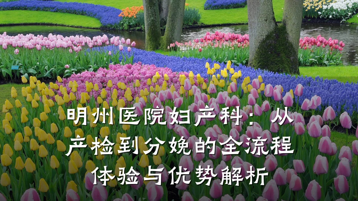 明州医院妇产科:从产检到分娩的全流程体验与优势解析