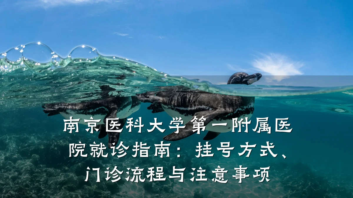 南京医科大学第一附属医院就诊指南：挂号方式、门诊流程与注意事项