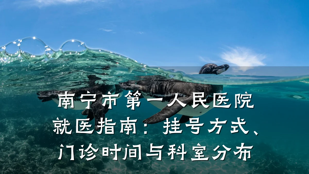 南宁市第一人民医院就医指南:挂号方式、门诊时间与科室分布