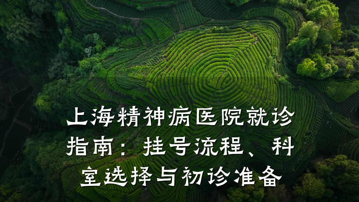 上海精神病医院就诊指南：挂号流程、科室选择与初诊准备