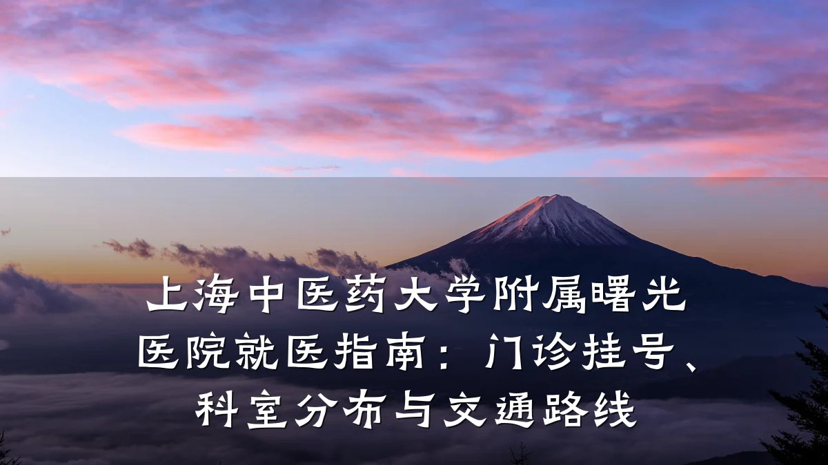 上海中医药大学附属曙光医院就医指南:门诊挂号、科室分布与交通路线