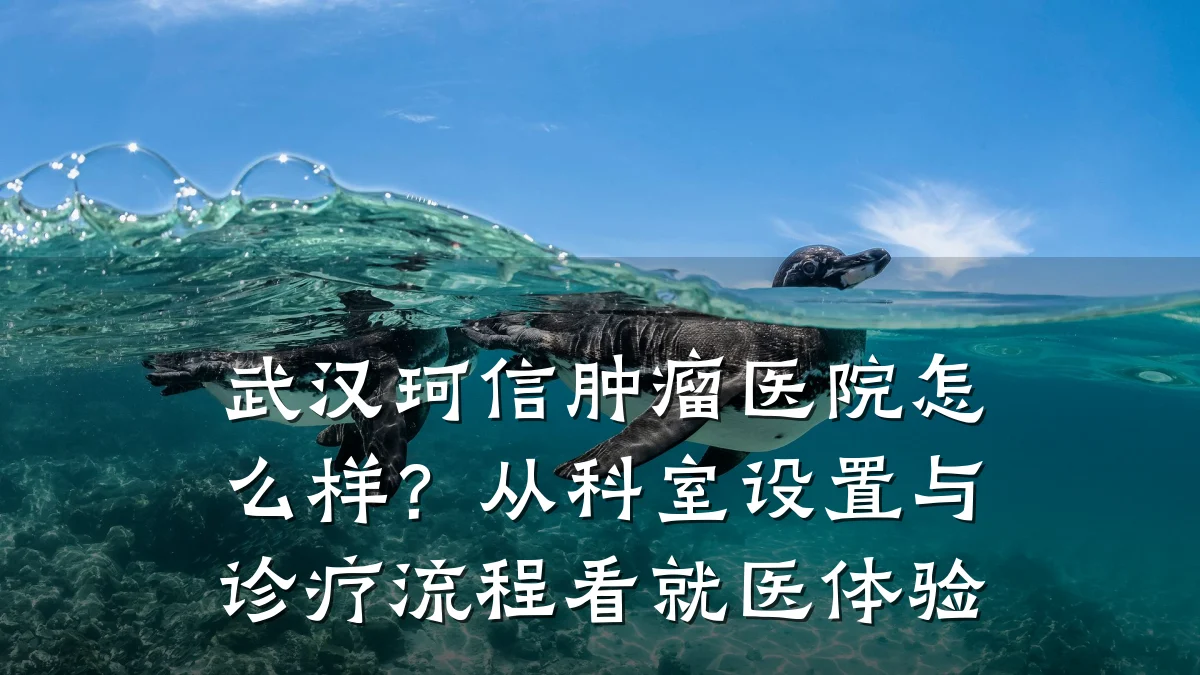 武汉珂信肿瘤医院怎么样？从科室设置与诊疗流程看就医体验