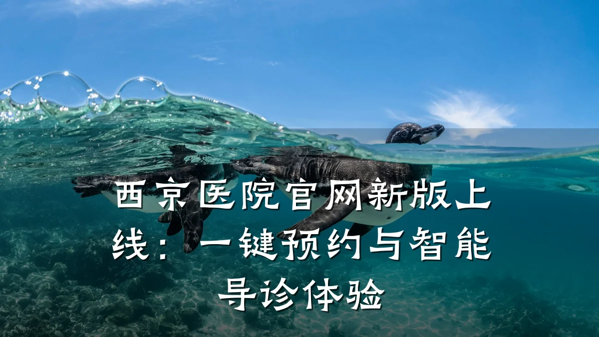 西京医院官网新版上线：一键预约与智能导诊体验
