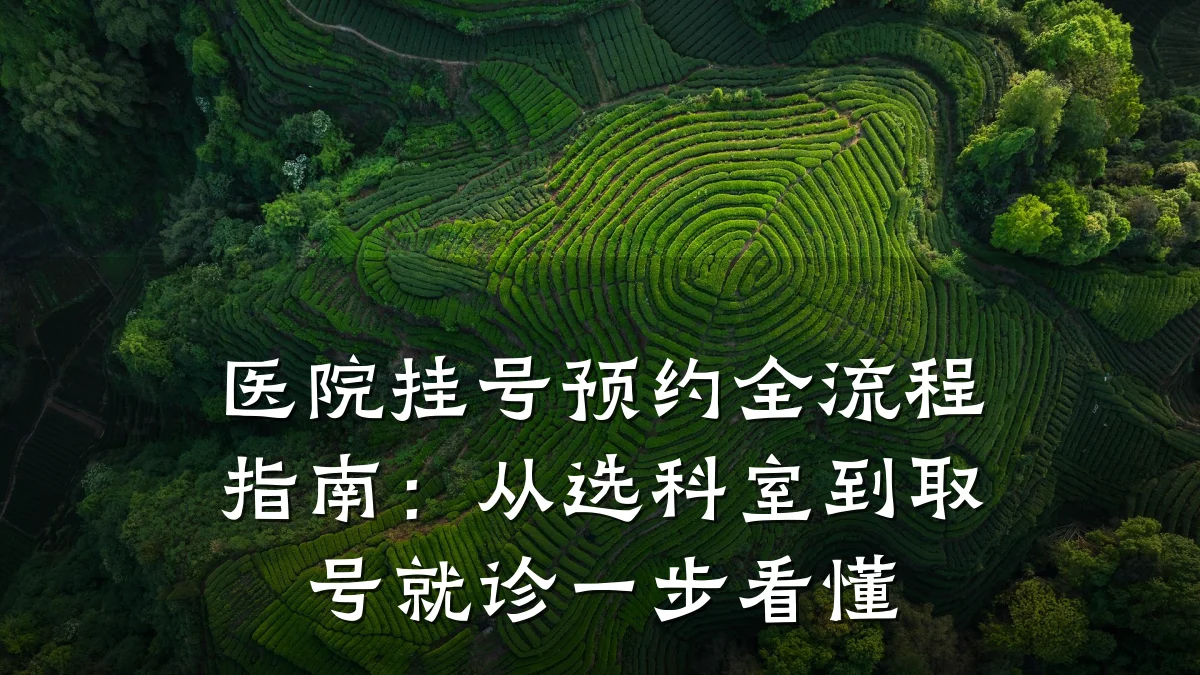 医院挂号预约全流程指南：从选科室到取号就诊一步看懂