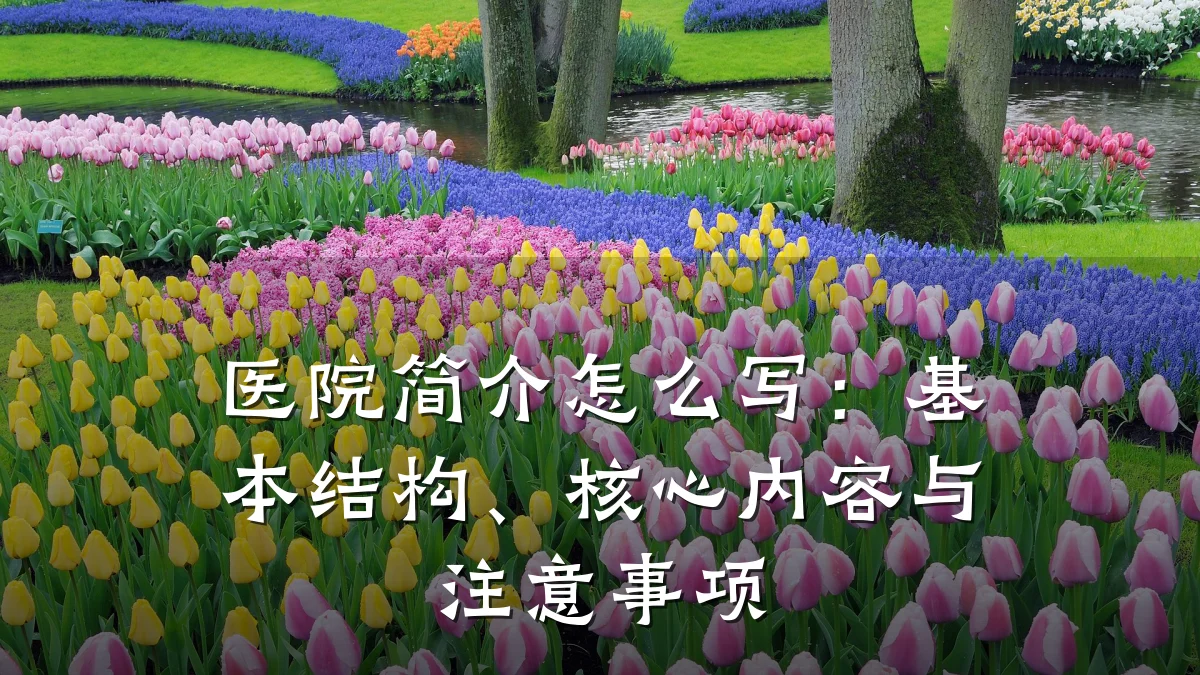 医院简介怎么写:基本结构、核心内容与注意事项