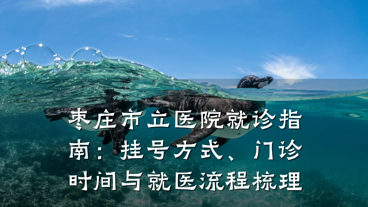 枣庄市立医院就诊指南：挂号方式、门诊时间与就医流程梳理