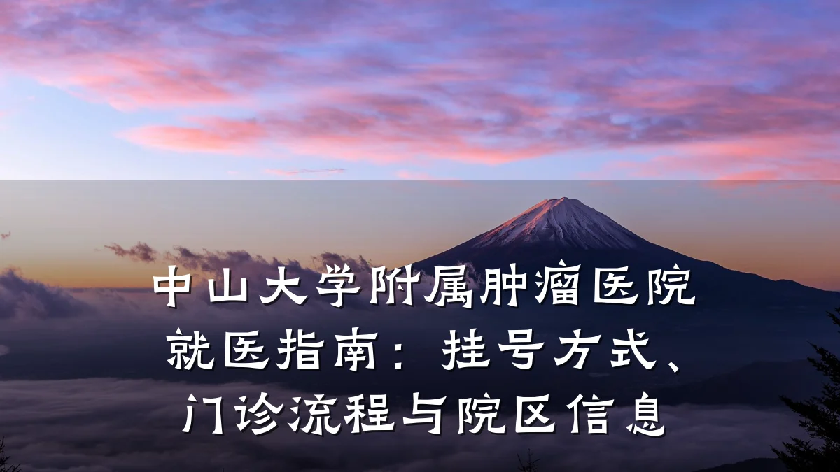 中山大学附属肿瘤医院就医指南:挂号方式、门诊流程与院区信息