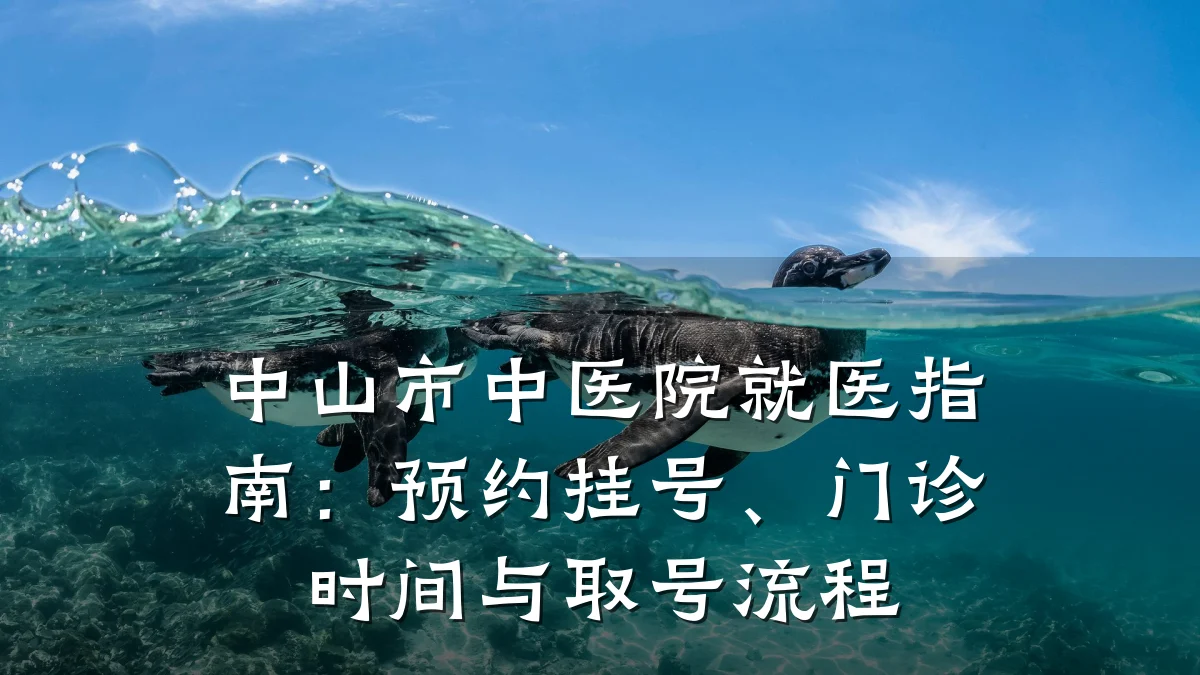中山市中医院就医指南:预约挂号、门诊时间与取号流程