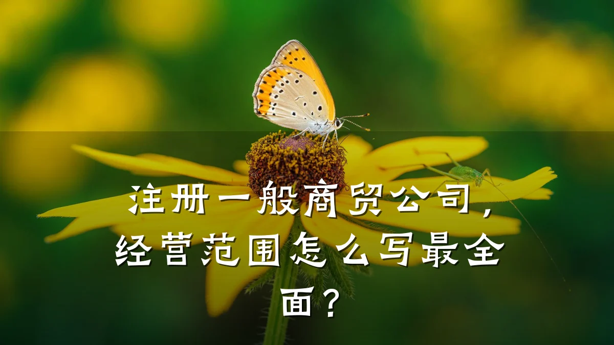 注册一般商贸公司，经营范围怎么写最全面？
