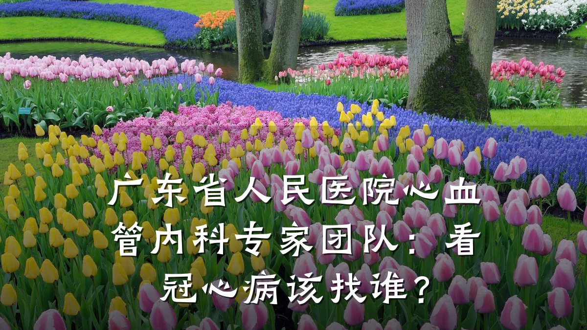 广东省人民医院心血管内科专家团队:看冠心病该找谁?