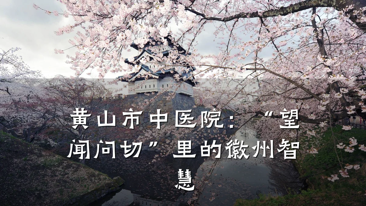 黄山市中医院：“望闻问切”里的徽州智慧