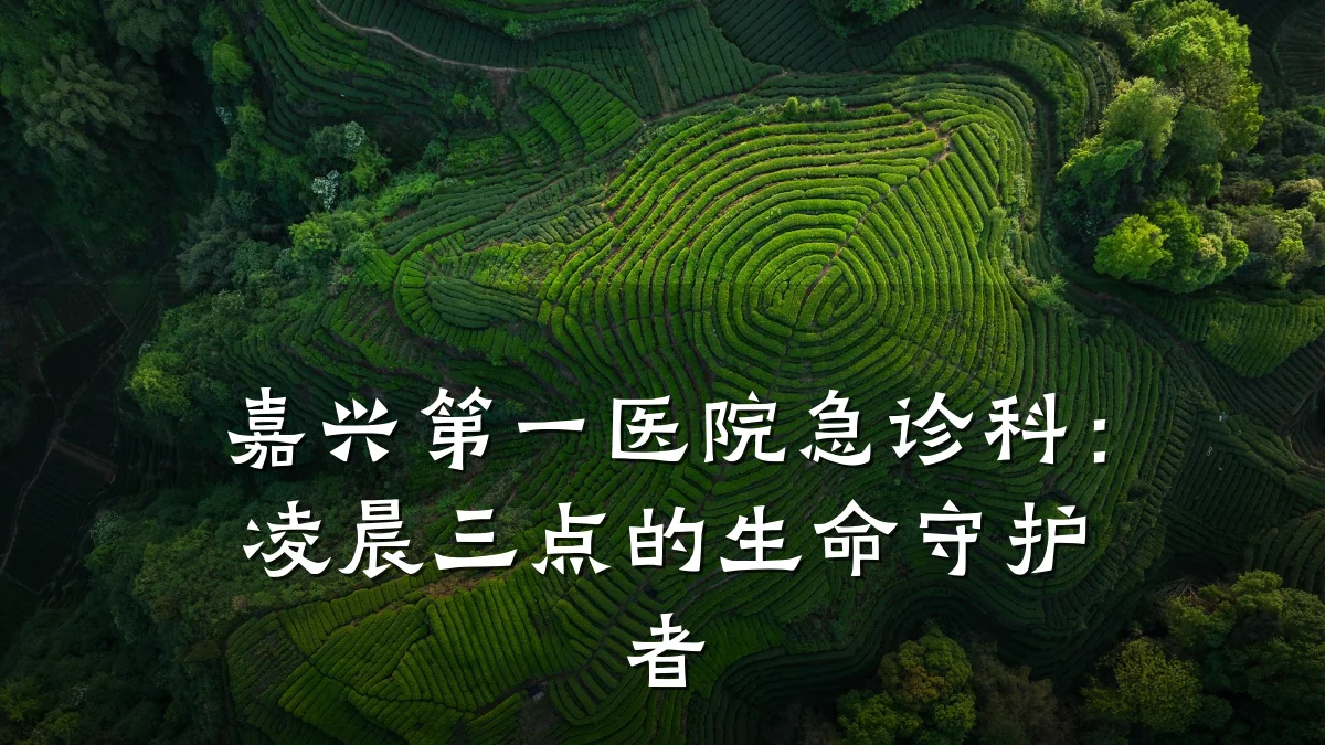嘉兴第一医院急诊科：凌晨三点的生命守护者