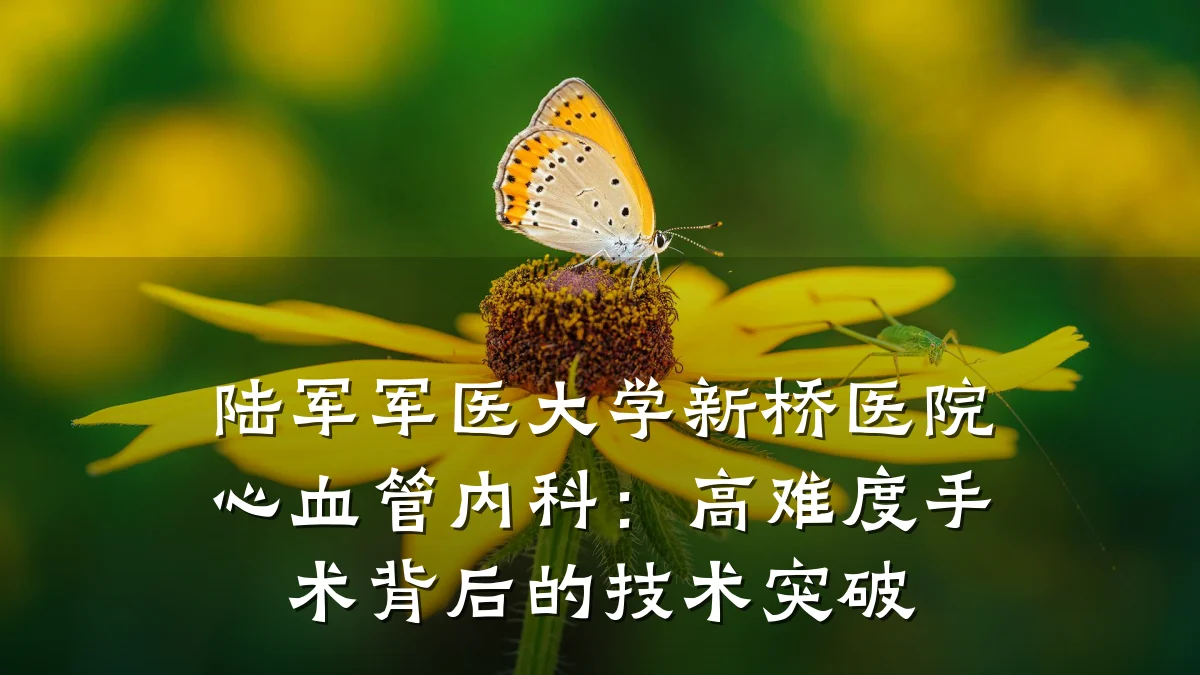 陆军军医大学新桥医院心血管内科:高难度手术背后的技术突破