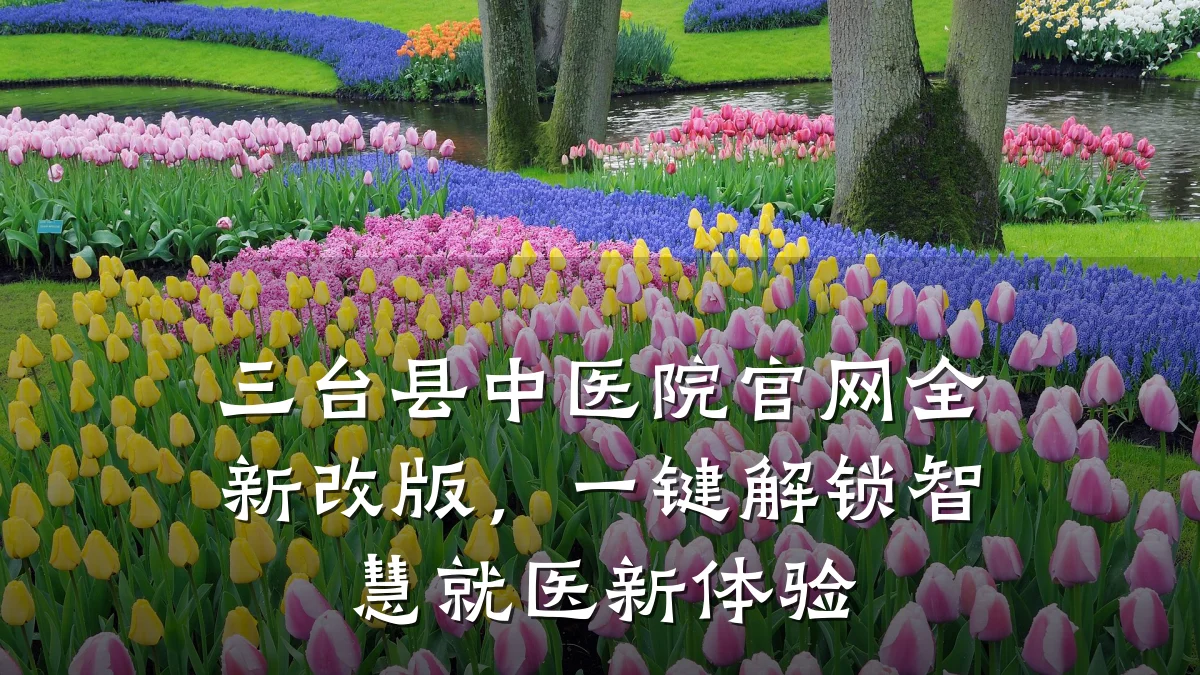 三台县中医院官网全新改版,一键解锁智慧就医新体验