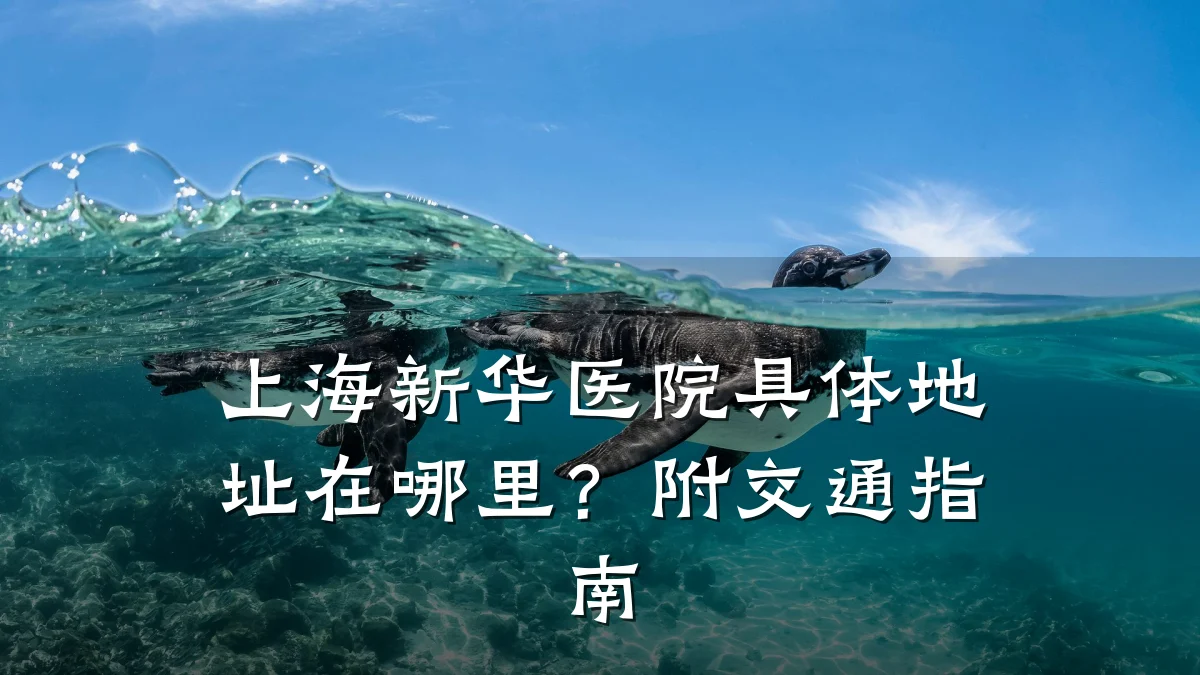 上海新华医院具体地址在哪里?附交通指南